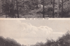 Peimann-2405