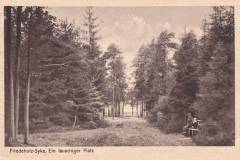 Peimann-2321
