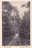 Peimann-2372