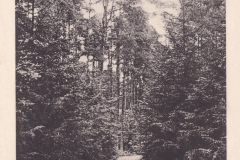 Peimann-2372