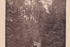 Peimann-2430