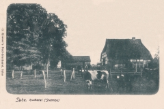 Peimann-2704