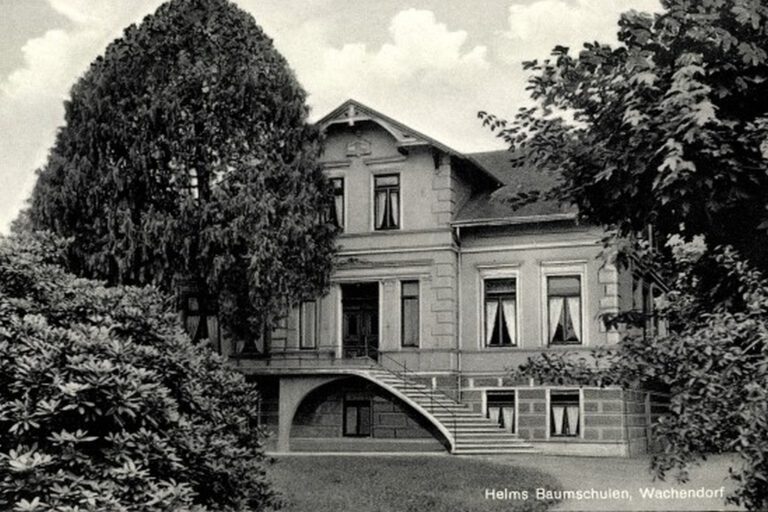 Wachendorf Ansichtskarten Syke